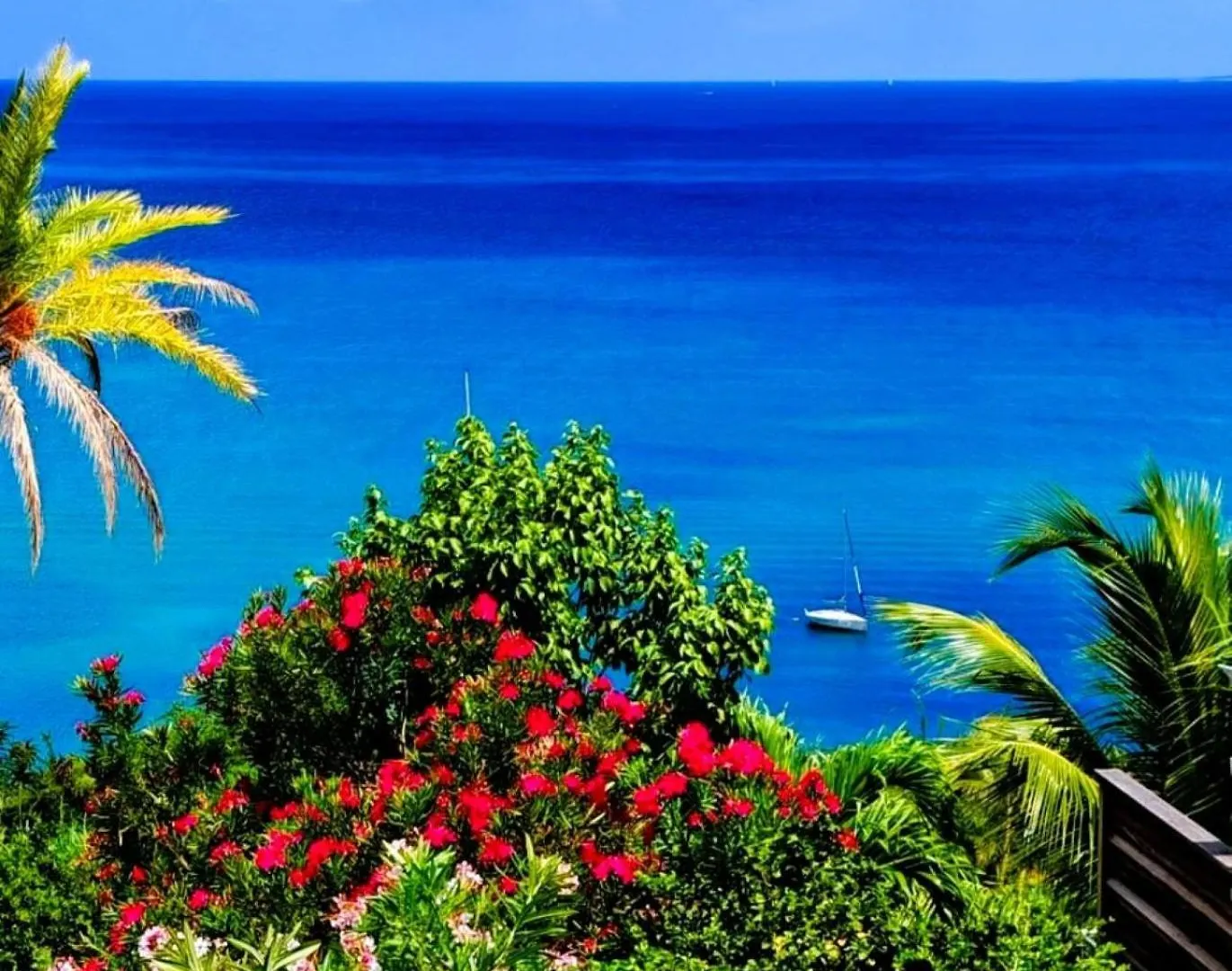 Villa D'Happy Bay - Panoramic View Of Caribbean And Sunsets Άγιος Μαρτίνος/Αγίου Μαρτίνου